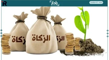 هل يجب دفع زكاة على ذهب الزينة؟ رد أمين الفتوى يوضح الحقيقة